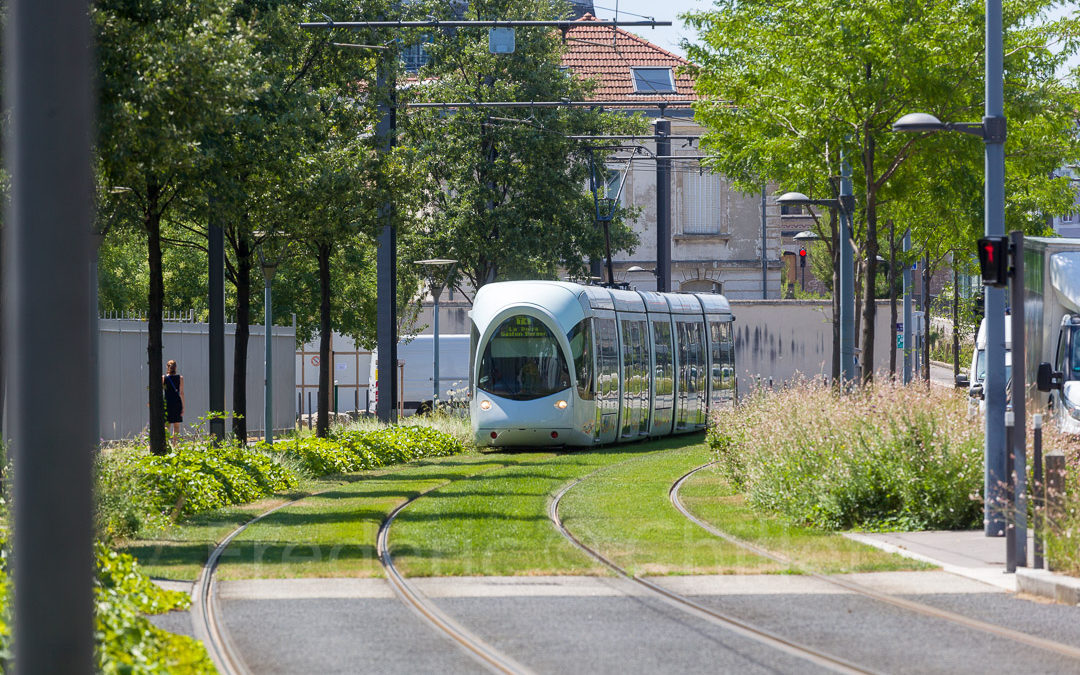 entretien des espaces verts du tramway t4