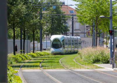 entretien des espaces verts du tramway t4