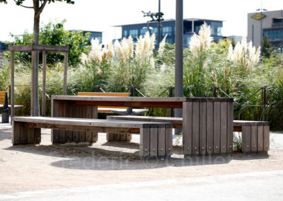 mobilier urbain place mérieux à Lyon