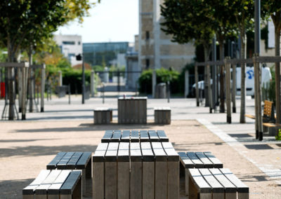 mobilier urbain place mérieux à Lyon